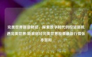 完美世界新浪财经，探索数字时代的投资新机遇完美世界 新浪财经完美世界股票最新行情张本智和