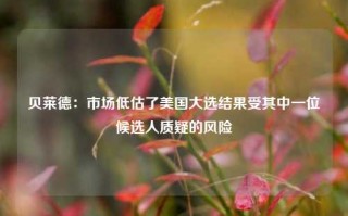 贝莱德：市场低估了美国大选结果受其中一位候选人质疑的风险