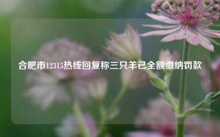 合肥市12315热线回复称三只羊已全额缴纳罚款