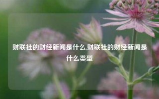 财联社的财经新闻是什么,财联社的财经新闻是什么类型