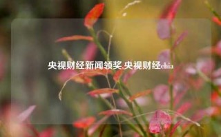 央视财经新闻领奖,央视财经chia