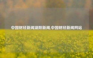 中国财经新闻湖阳新闻,中国财经新闻网站