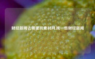 财经新闻去哪里找素材网,找一些财经新闻