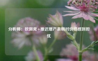 分析师：欧佩克+推迟增产表明对价格感到担忧