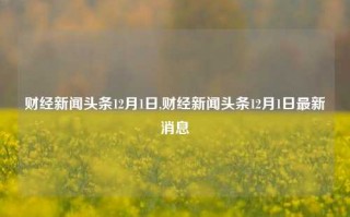 财经新闻头条12月1日,财经新闻头条12月1日最新消息