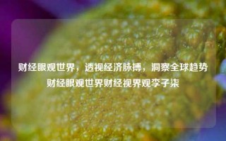 财经眼观世界，透视经济脉搏，洞察全球趋势财经眼观世界财经视界观李子柒