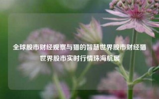 全球股市财经观察与猫的智慧世界股市财经猫世界股市实时行情珠海航展