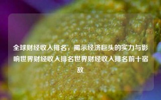 全球财经收入排名，揭示经济巨头的实力与影响世界财经收入排名世界财经收入排名前十宿敌