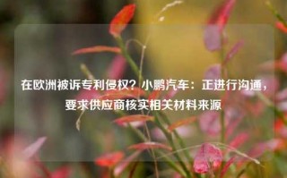 在欧洲被诉专利侵权？小鹏汽车：正进行沟通，要求供应商核实相关材料来源