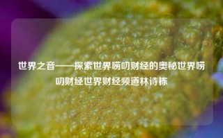 世界之音——探索世界唠叨财经的奥秘世界唠叨财经世界财经频道林诗栋