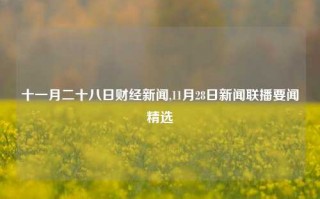 十一月二十八日财经新闻,11月28日新闻联播要闻精选