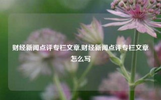 财经新闻点评专栏文章,财经新闻点评专栏文章怎么写