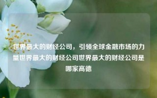 世界最大的财经公司，引领全球金融市场的力量世界最大的财经公司世界最大的财经公司是哪家高德