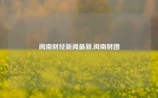 闽南财经新闻最新,闽南财团