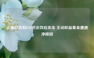 止盈心态和ETF挤出效应夹击 主动权益基金遭遇净赎回