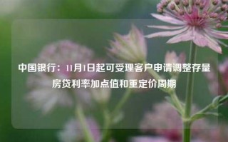 中国银行：11月1日起可受理客户申请调整存量房贷利率加点值和重定价周期