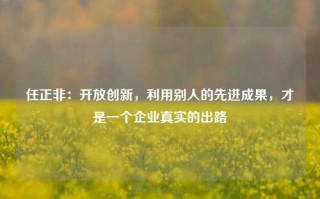 任正非：开放创新，利用别人的先进成果，才是一个企业真实的出路