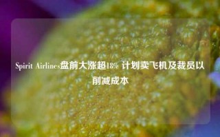 Spirit Airlines盘前大涨超18% 计划卖飞机及裁员以削减成本