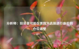 分析师：投资者可能在美国大选前进行最后的仓位调整