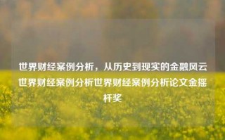 世界财经案例分析，从历史到现实的金融风云世界财经案例分析世界财经案例分析论文金摇杆奖