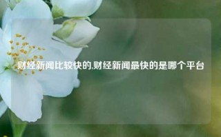 财经新闻比较快的,财经新闻最快的是哪个平台