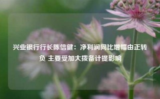 兴业银行行长陈信健：净利润同比增幅由正转负 主要受加大拨备计提影响