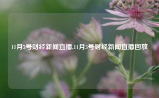 11月3号财经新闻直播,11月3号财经新闻直播回放