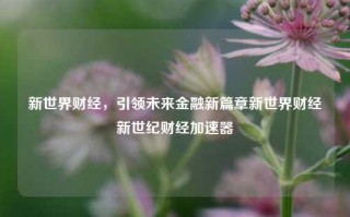 新世界财经，引领未来金融新篇章新世界财经新世纪财经加速器