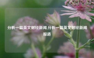 分析一篇英文财经新闻,分析一篇英文财经新闻报道