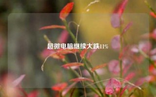 超微电脑继续大跌11%