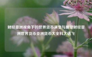 财经亚洲视角下的世界货币演变与展望财经亚洲世界货币亚洲货币大全科大讯飞