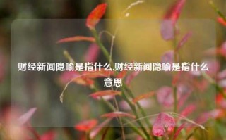 财经新闻隐喻是指什么,财经新闻隐喻是指什么意思