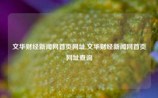 文华财经新闻网首页网址,文华财经新闻网首页网址查询