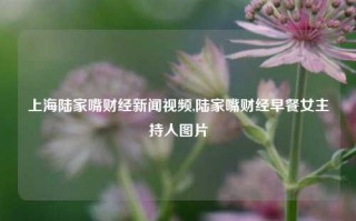 上海陆家嘴财经新闻视频,陆家嘴财经早餐女主持人图片