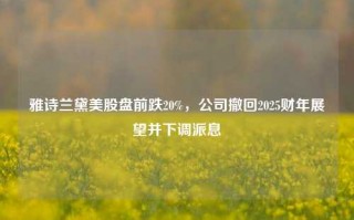 雅诗兰黛美股盘前跌20%，公司撤回2025财年展望并下调派息