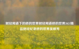 财经频道下的桥的世界财经频道桥的世界2021精品财经纪录桥的世界吴柳芳