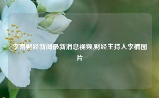 李南财经新闻最新消息视频,财经主持人李楠图片