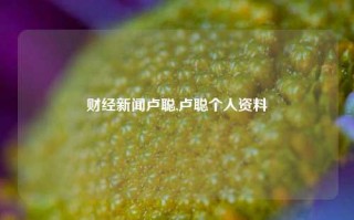 财经新闻卢聪,卢聪个人资料