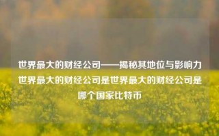 世界最大的财经公司——揭秘其地位与影响力世界最大的财经公司是世界最大的财经公司是哪个国家比特币