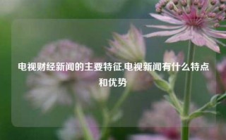 电视财经新闻的主要特征,电视新闻有什么特点和优势