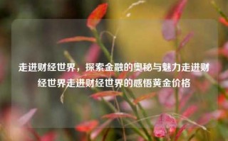 走进财经世界，探索金融的奥秘与魅力走进财经世界走进财经世界的感悟黄金价格