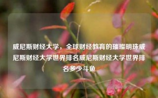 威尼斯财经大学，全球财经教育的璀璨明珠威尼斯财经大学世界排名威尼斯财经大学世界排名多少斗鱼