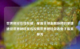 世界财经在线投稿，掌握全球金融脉搏的便捷途径世界财经在线投稿世界财经杂志电子版吴柳芳