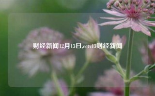 财经新闻12月13日,cctv13财经新闻