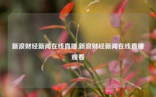 新浪财经新闻在线直播,新浪财经新闻在线直播观看