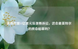 赢得欧盟11亿美元反垄断诉讼，这会是英特尔的救命稻草吗？