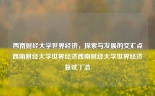 西南财经大学世界经济，探索与发展的交汇点西南财经大学世界经济西南财经大学世界经济复试丁浩