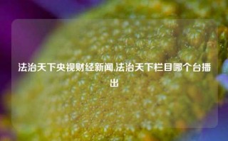 法治天下央视财经新闻,法治天下栏目哪个台播出