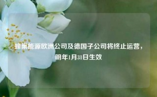 蜂巢能源欧洲公司及德国子公司将终止运营，明年1月31日生效