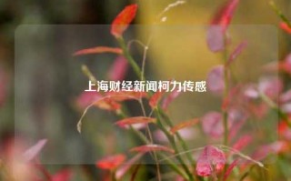 上海财经新闻柯力传感